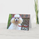 Recherche de poodle birthday cards Animal