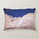 Recherche de transporteur coussins Avion