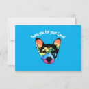 Search for gay pride parade cards Rainbow