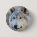 Recherche de loup badges Nature