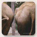Search for elephants barware Humour