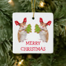 Search for mouse ornaments Merry christmas