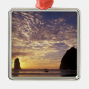 Search for oregon ornaments Coast