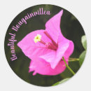 Search for bougainvillea stickers Flower