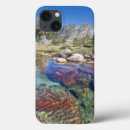Search for clean ipad cases Eastern sierras
