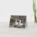 Recherche de birdies vœux cartes Salutation