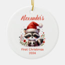 Search for cute racoon ornaments Baby
