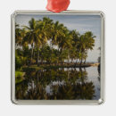 Search for hispanic ornaments Latino