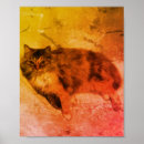 Recherche de calico cat posters Chats