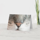 Search for cat puns birthday cards Cats