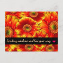 Search for think spring postcards Daisy