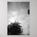 Search for black and white tree silhouette art Sky