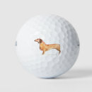 Search for dog golf balls Wiener