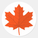 Search for maple tree stickers Leaf