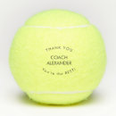 Recherche de tennis balls Balle