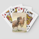 Search for horse playing cards Clouds