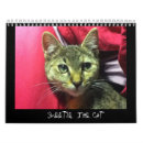 Search for funny animal calendars Cat lover
