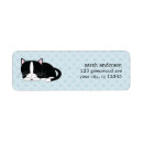 Search for sleepy cat labels cats