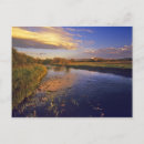 Search for jackson hole postcards Usa
