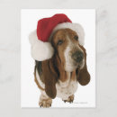Search for basset christmas cards Humour