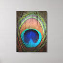 Search for peacock feather art Elegant