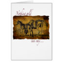 Recherche de poulain photographie Cheval