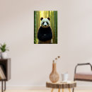 Search for endangered species art Panda