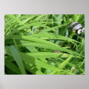 Search for dew art Photography