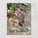 Search for monkey baby postcards India