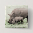 Search for rhino buttons Endangered