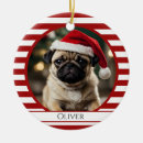 Search for stripes ornaments Dog