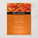 Search for orange lilly invitations Lily