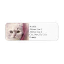Search for blankets labels Watercolor