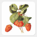 Search for vintage fruit stickers Red