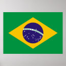 Recherche de drapeaux art Brésil