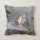 Recherche de chèvres coussins Pour lui