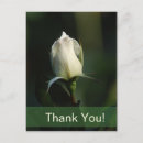 Search for occasions vertical postcards Elegant