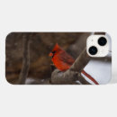 Search for cardinal cases Winter