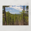 Search for custer postcards Black hills