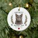 Search for russian blue cat ornaments Cute