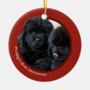 Search for newfie ornaments Puppy