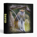 Search for monkey pictures Nature