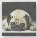 Search for pet photo coasters Marble