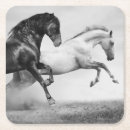 Search for draught horses barware Equine