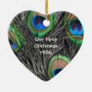 Search for peacock feather ornaments Photography