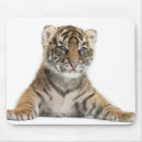 Search for sumatran mousepads Wildlife