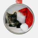 Search for tortie cat ornaments Kitten