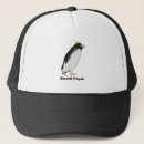 Search for extinct hats Bird