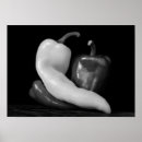 Recherche de poivrons posters Poivre