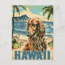 Recherche de chien afghan cartes postales Dog